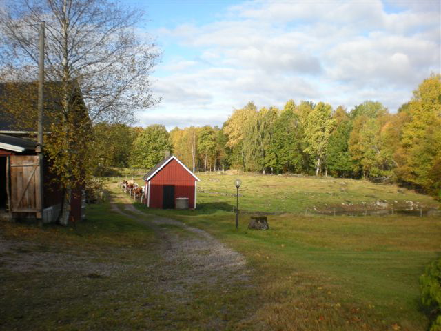 Holmquist Farm Out Buildings