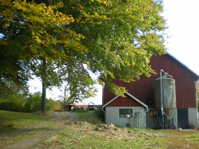 Holmquist Farm Barn 2009