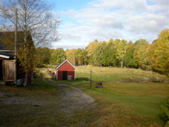 Holmquist Farm Out Buildings