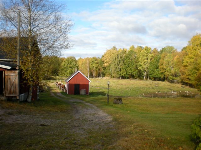 Holmquist Farm Out Buildings