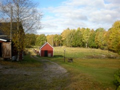 Holmquist Farm Out Buildings